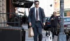 faire des rencontres en promenant son chien